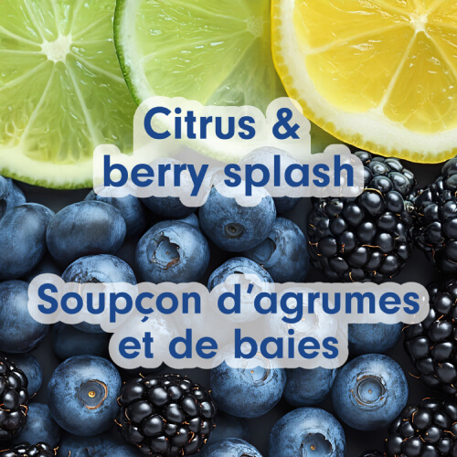 Close-up artistic arrangement of fresh lime slices, blueberries, and blackberries. Text overlay reads "Citrus & berry splash" and "Soupçon d'agrumes et de baies."