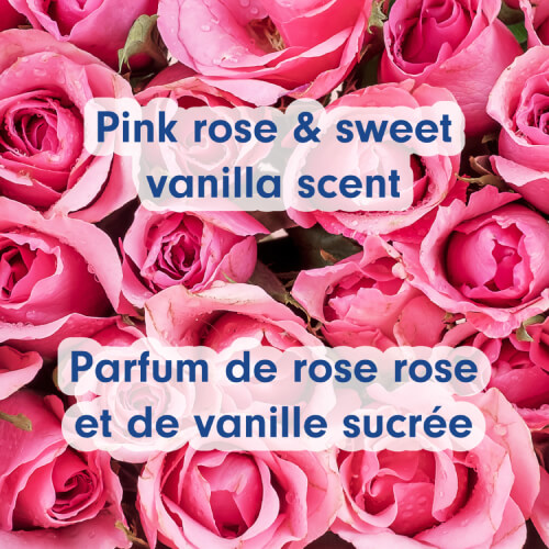 A vibrant, close-up overhead view of numerous pink roses with dew drops on their petals. Overlaid text reads "Pink rose & sweet vanilla scent" in English and "Parfum de rose rose et de vanille sucrée" in French.